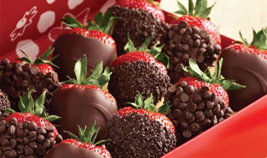 Edible Arrangements | 206 S Newtown Street Rd, Newtown Square, PA 19073, USA | Phone: (610) 353-8844