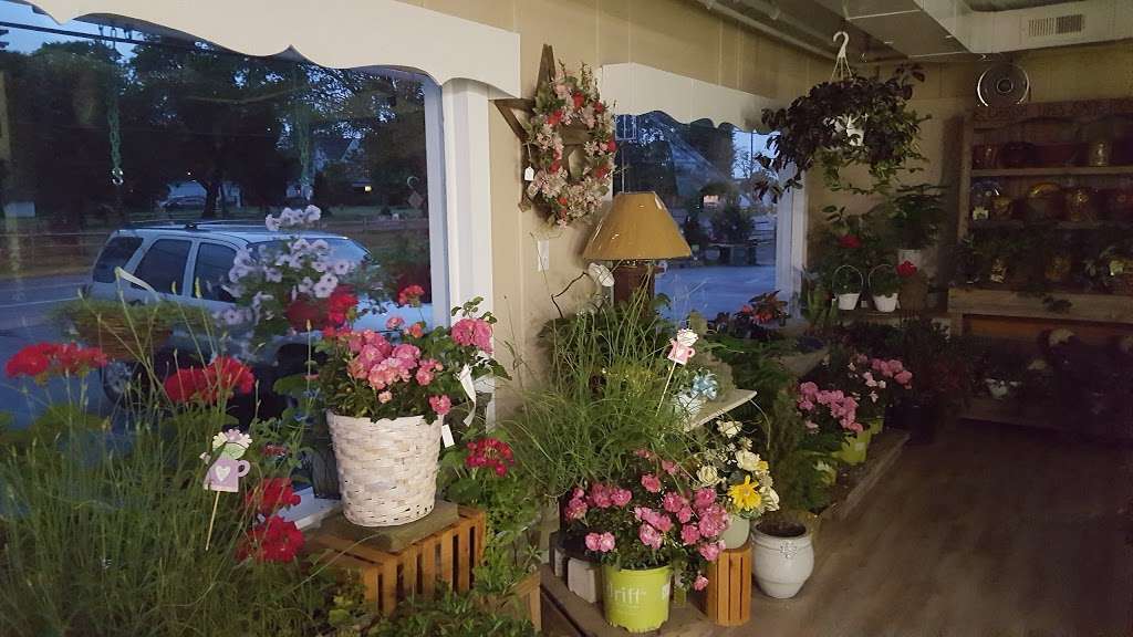 Plant, Flower & Garden Shop of Milford | 1235, 909 N Walnut St unit a, Milford, DE 19963, USA | Phone: (302) 422-4961