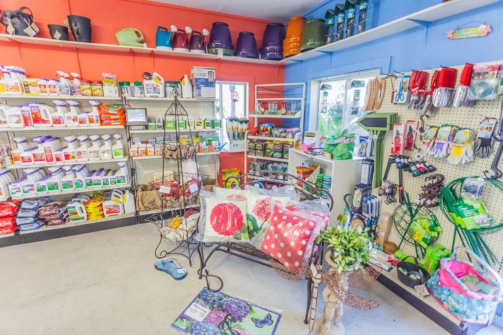 Creekside Market | 800 E Walnut St, Raymore, MO 64083, USA | Phone: (816) 322-7333