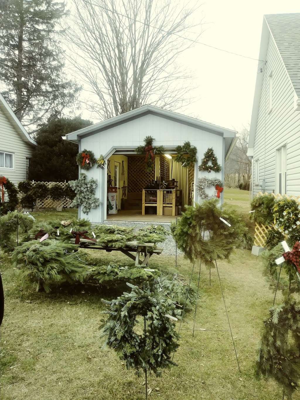 Elliotts Christmas Tree Farms | 12537 Path Valley Rd, Willow Hill, PA 17271, USA | Phone: (717) 349-7319