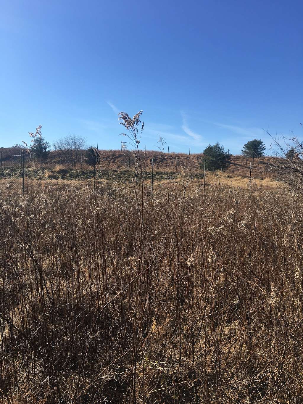 Blue Mash Nature Trail | 20400 Zion Rd, Gaithersburg, MD 20882, USA | Phone: (301) 495-4500