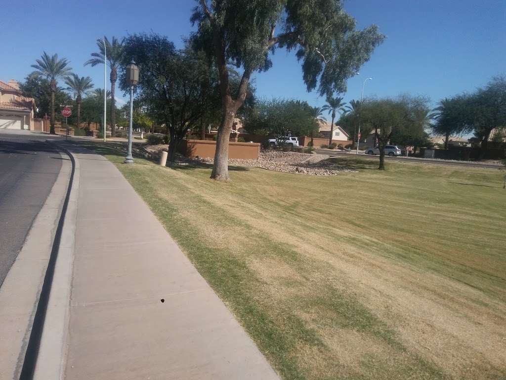 Valencia park | 3290 W Golden Ln, Chandler, AZ 85226, USA