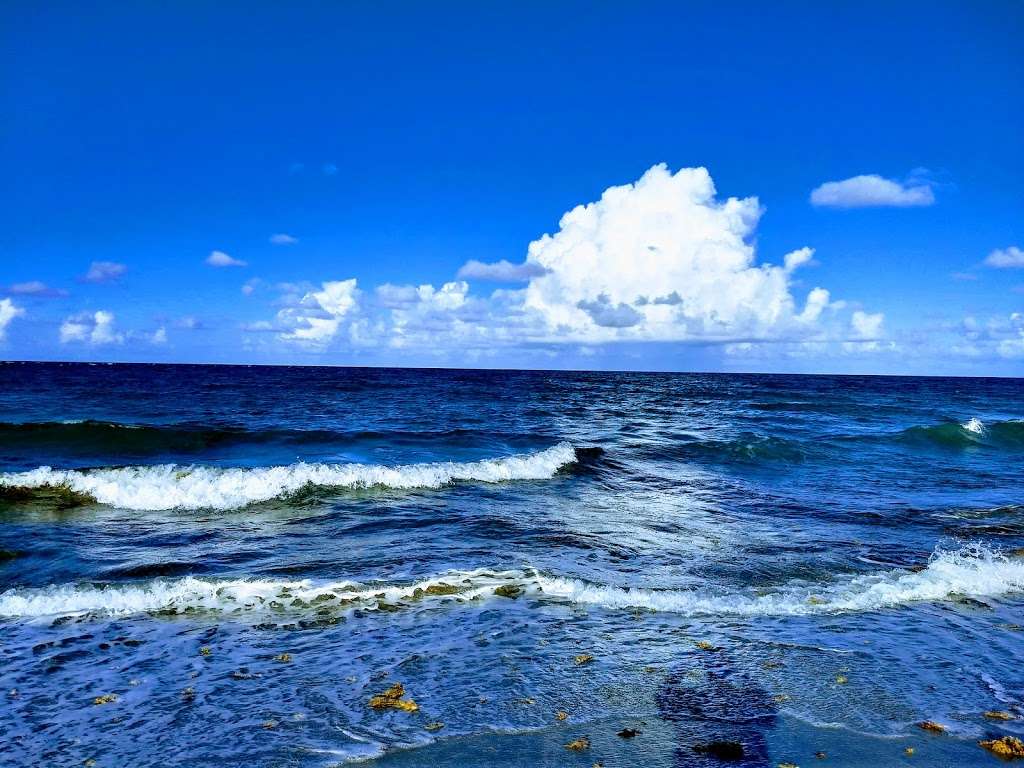 Jupiter Beach Park | 1375 Jupiter Beach Road, Jupiter, FL 33477, USA | Phone: (561) 966-6600