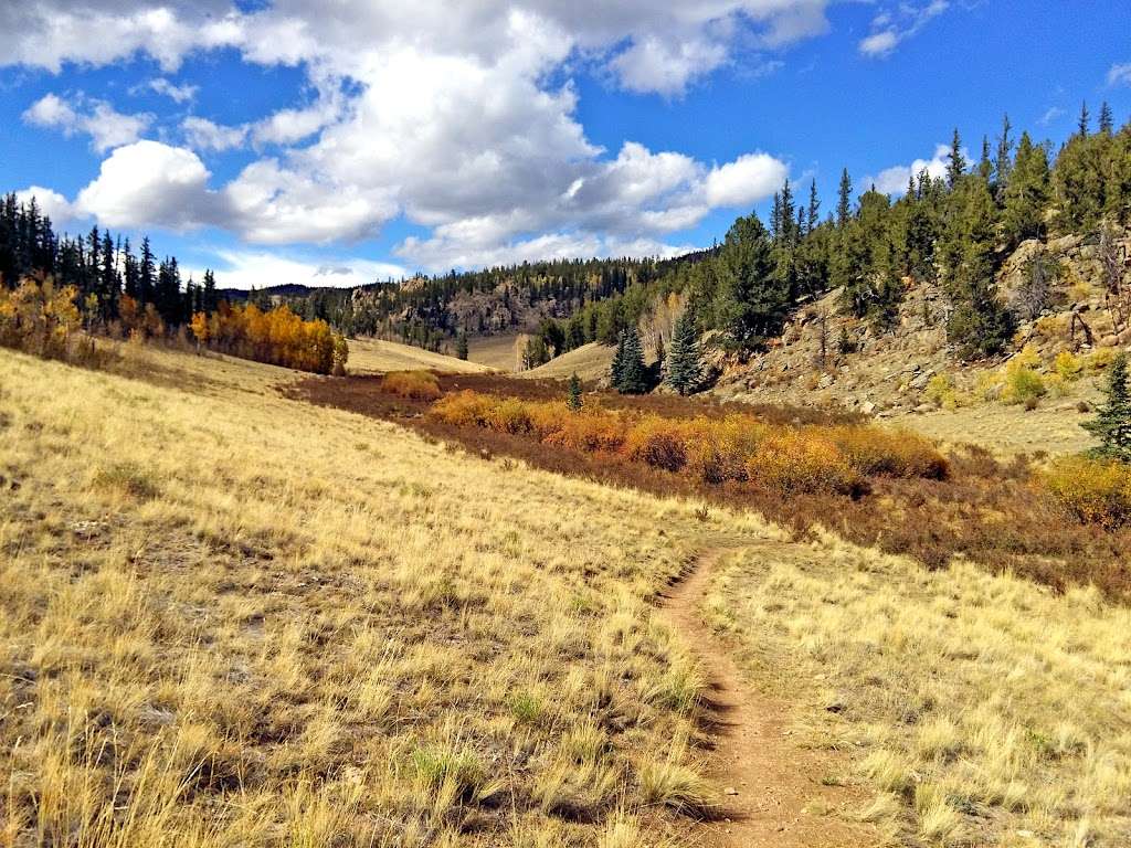 Colorado Trail Section #5 Trailhead | Colorado Trail, Jefferson, CO 80456, USA