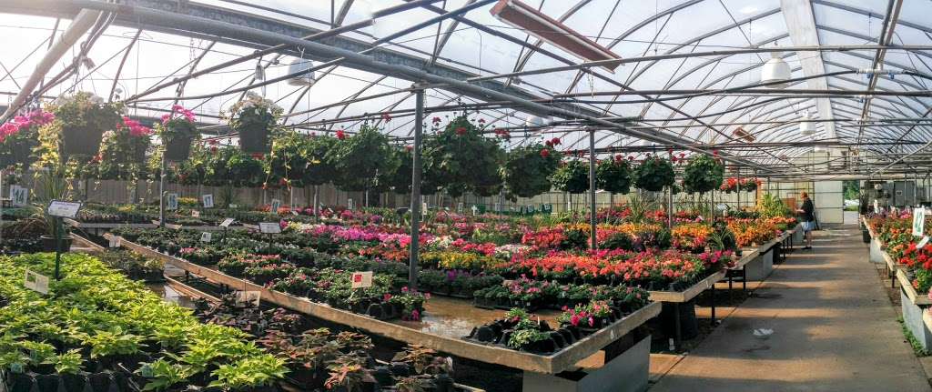 Esbenshades Garden Centers & Greenhouse | 546 E 28th Division Hwy, Lititz, PA 17543, USA | Phone: (717) 626-7007