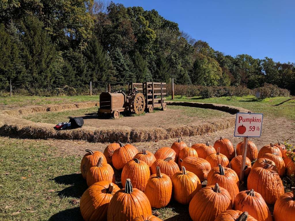 Solebury Orchards | 3325 Creamery Rd, New Hope, PA 18938 | Phone: (215) 297-8079