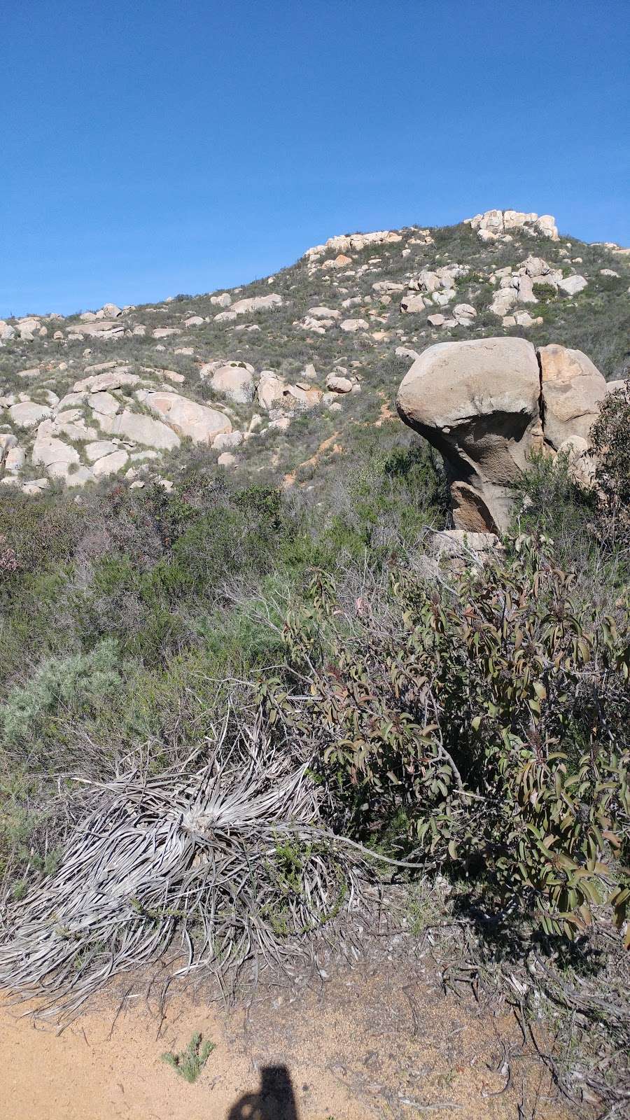 Twin Peaks Trail Summit | Poway, CA 92064, USA