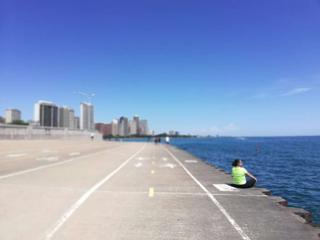 Morgan Point Beach | Pedestrian Bridge, S Lake Shore Dr, Chicago, IL 60615, USA