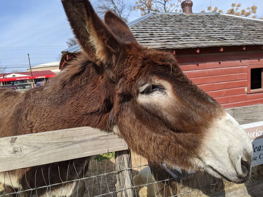 Heritage Farmstead Museum | 1900 W 15th St, Plano, TX 75075, USA | Phone: (972) 881-0140