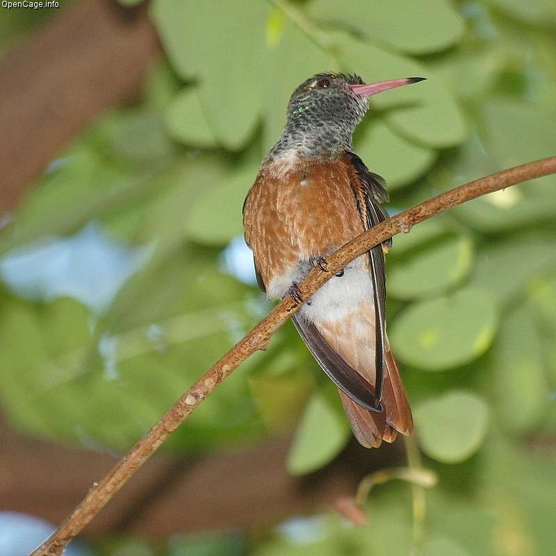 Texas Parks & Wildlife Department | 346 Oaks Trail #100, Garland, TX 75043, USA | Phone: (972) 226-9966