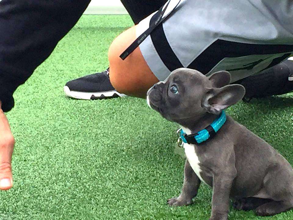 IPF, INSTITUTE OF PERFORMANCE & FITNESS | 303 Main St, North Reading, MA 01864, USA | Phone: (978) 289-4177