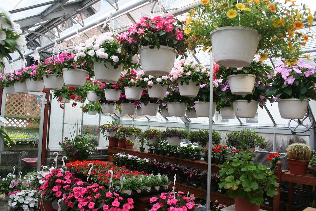 Manhasset Florist & Greenhouse (Manhasset Florist) | 25 Orchard St, Manhasset, NY 11030, USA | Phone: (516) 627-6400