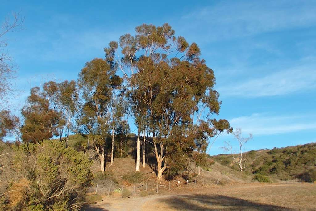 Veterans Park Trail | 1530 Faraday Ave, Carlsbad, CA 92008, USA