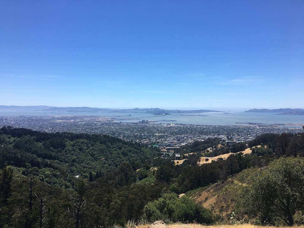 Grizzly Peak Vista Point | Berkeley, CA 94705