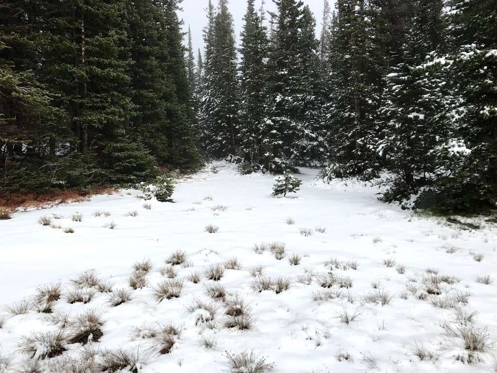 Sourdough | Estes Park, CO 80517, USA