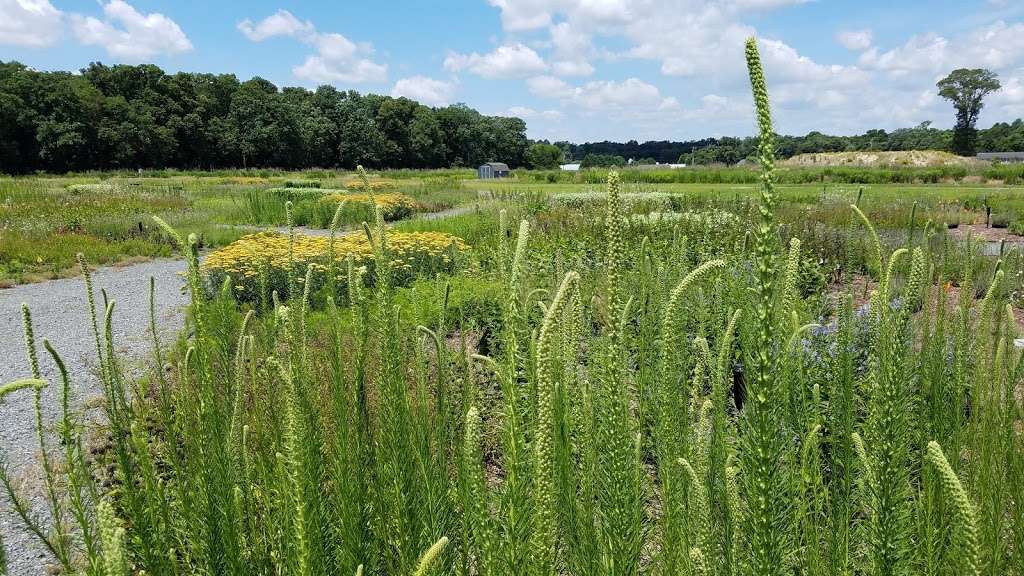 Delaware Botanic Gardens at Pepper Creek | Piney Neck Rd, Dagsboro, DE 19939, USA | Phone: (202) 262-9856