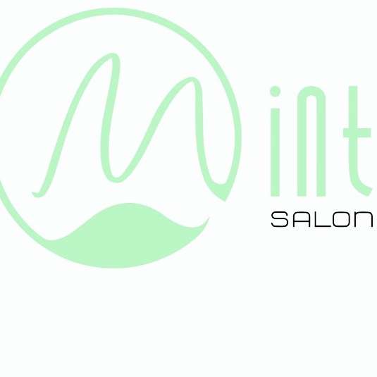 Mint Salon | 201 E 9th St, Lockport, IL 60441, USA | Phone: (815) 838-2660