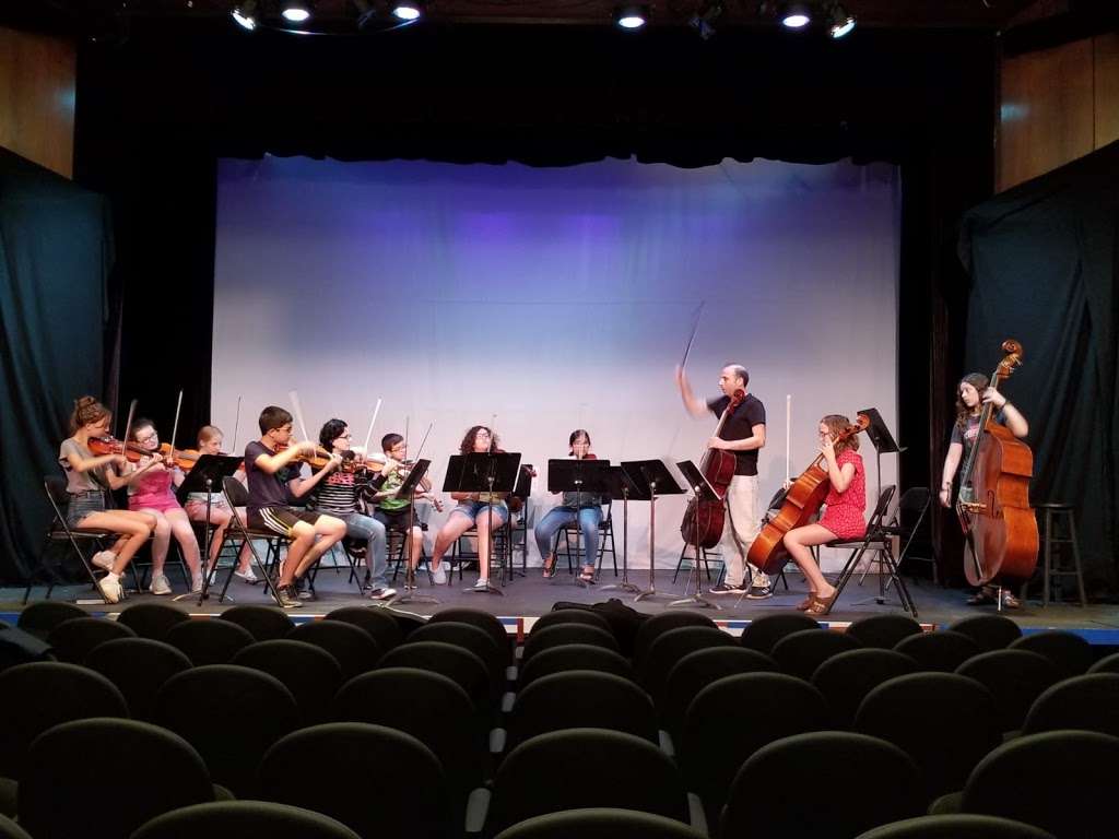 Sunflower Chamber Orchestra | 1535 Park Ave, River Forest, IL 60305, USA | Phone: (773) 203-2816