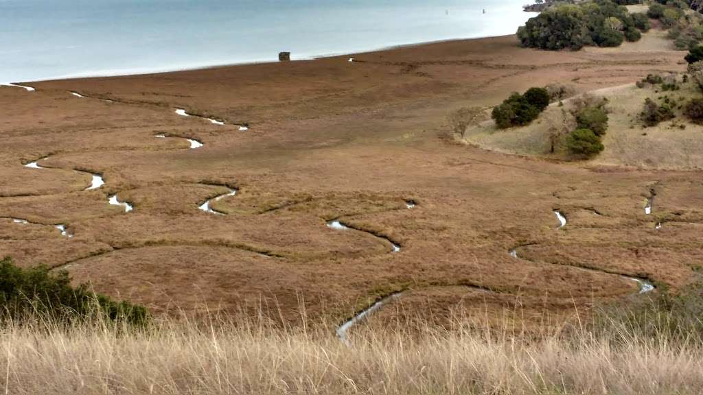 San Francisco Bay National Estuarine Research Reserve | San Rafael, CA 94901, USA | Phone: (415) 338-3707