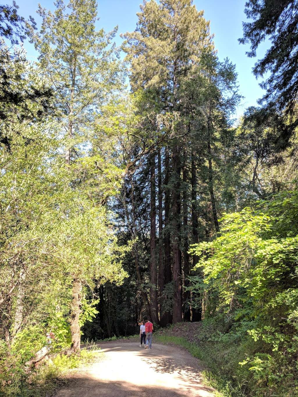 Upper Lake Trail Jack London Park | Lake Service Rd, Glen Ellen, CA 95442, USA