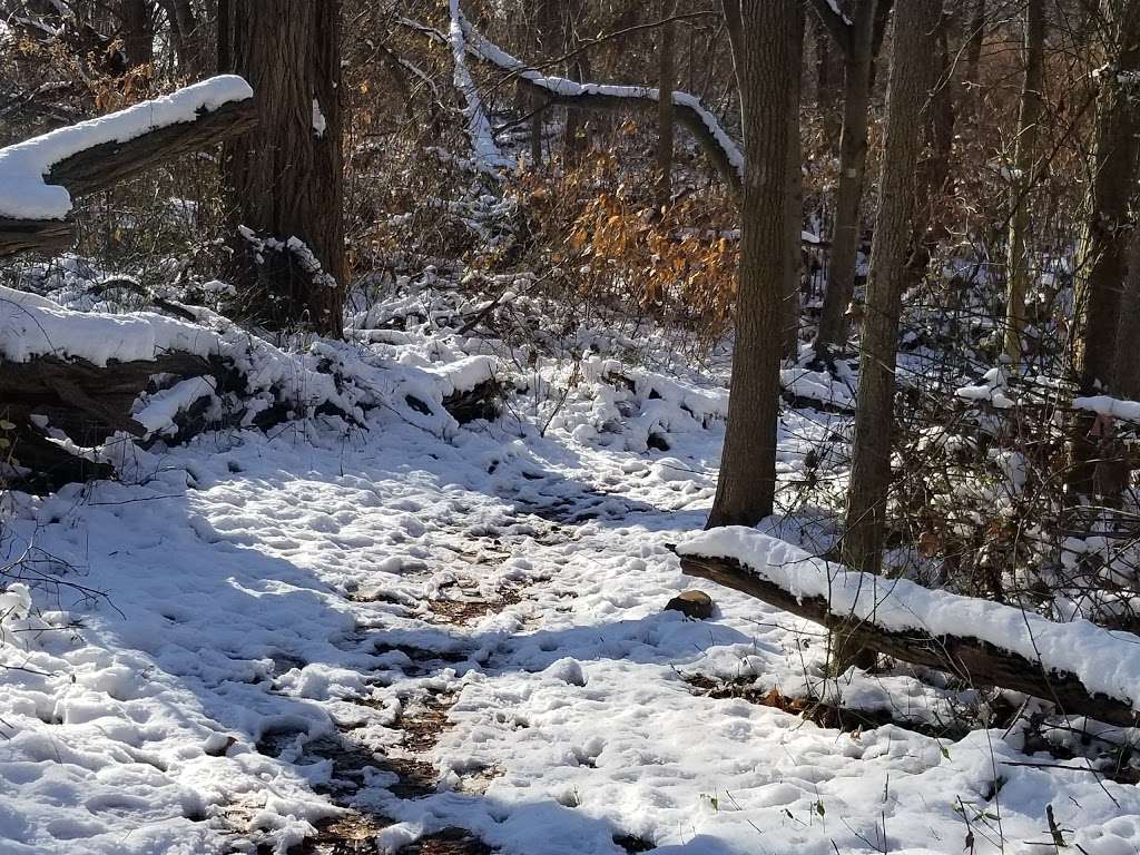 Amundsen Trail | Riedel Ave, Staten Island, NY 10306, USA