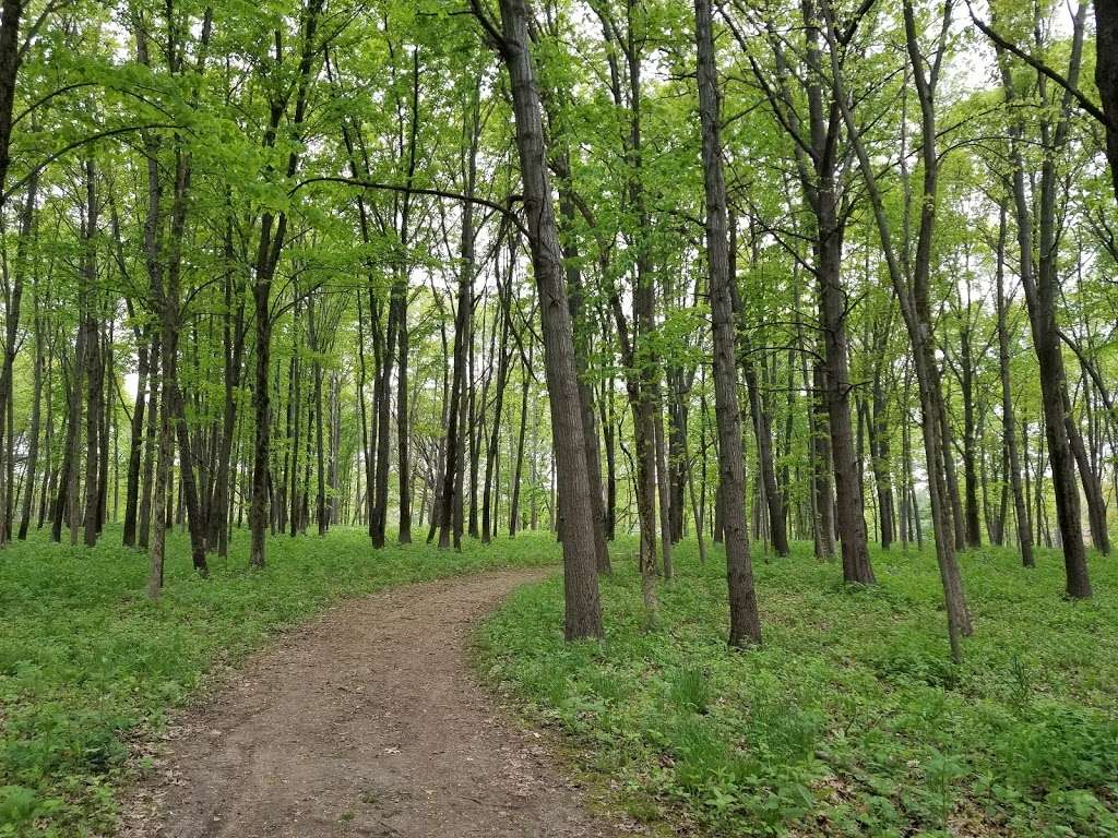 McKee Marsh at Blackwell Forest Peserve | Mack Rd, Warrenville, IL 60555