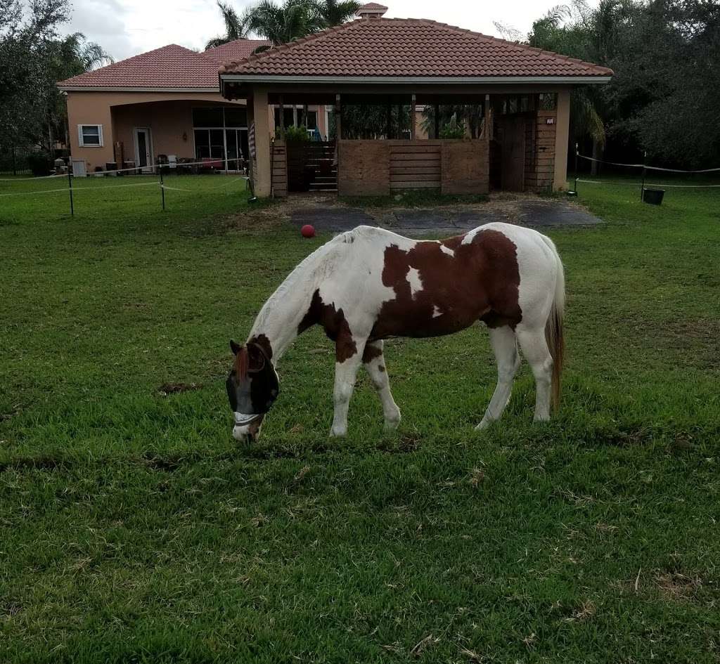 Oakhill Equestrian Park | 3100 SW 130th Ave, Davie, FL 33330, USA | Phone: (954) 797-1147