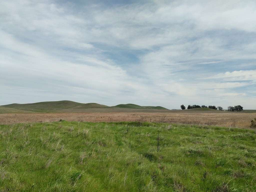 Rush Ranch Open Space | 3521 Grizzly Island Rd, Suisun City, CA 94585, USA | Phone: (707) 432-0150