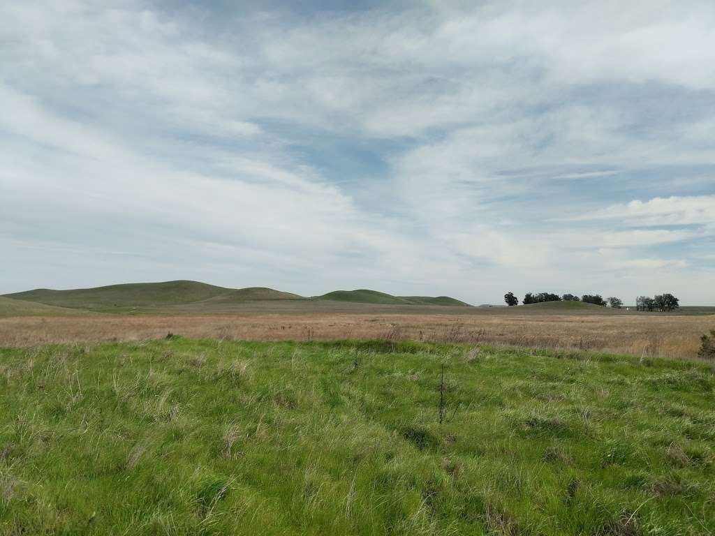 Rush Ranch Open Space - 3521 Grizzly Island Rd, Suisun City, CA 94585