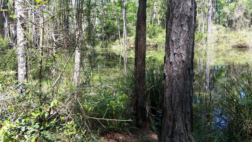 Lone Star Hiking Trail Pond | 5 Alabama 6, Lawley, AL 36793, USA