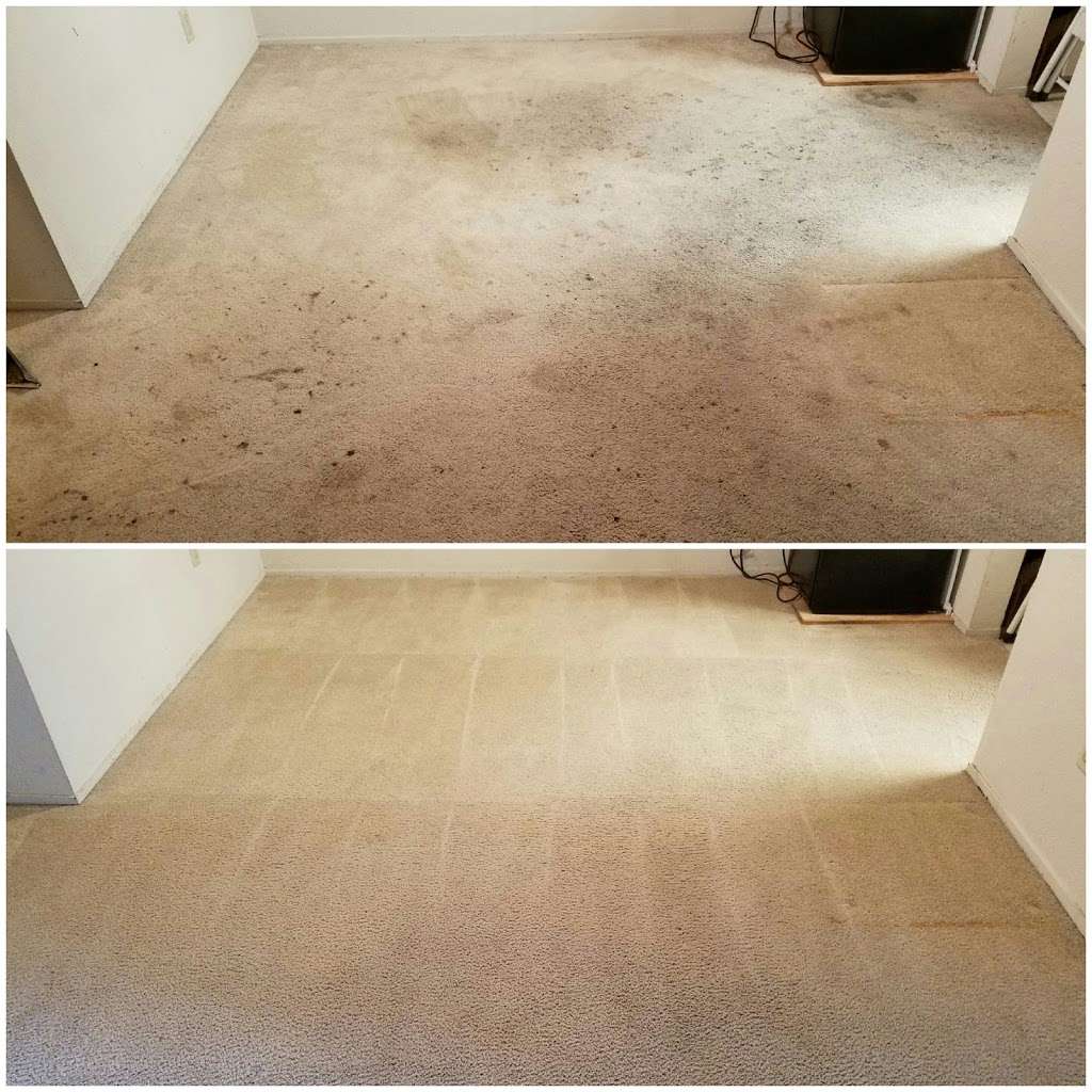 Elite Carpet Care | 607 Hermitage St, San Jose, CA 95134, USA | Phone: (408) 449-3382