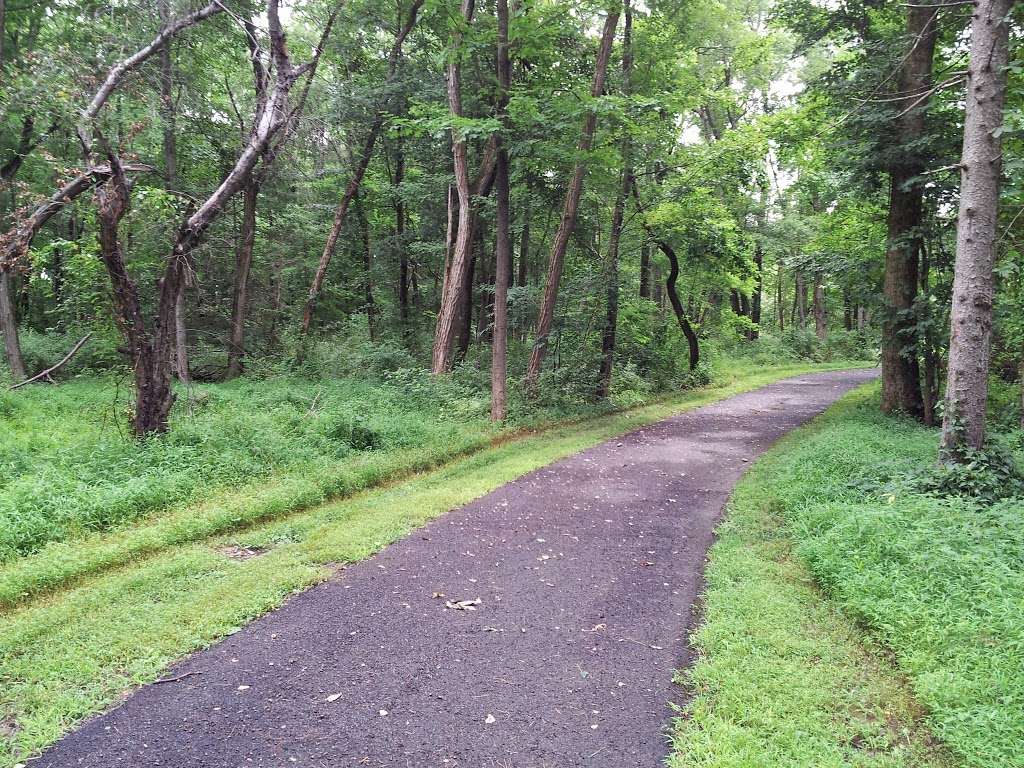 Dark Hollow | Furlong, PA 18925, USA