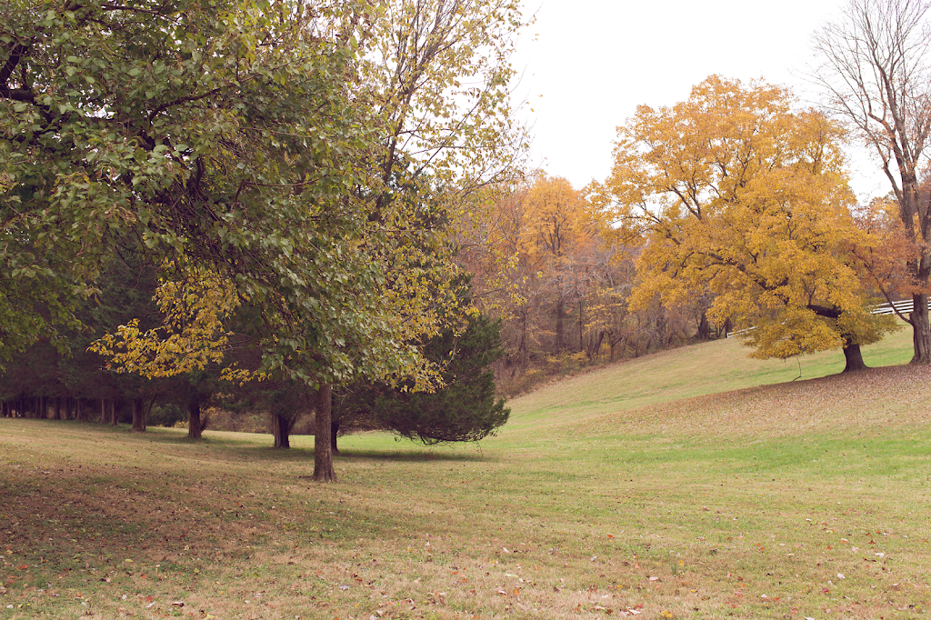 Mater Amoris Montessori School | 18501 Mink Hollow Rd, Ashton, MD 20861 | Phone: (301) 774-7468