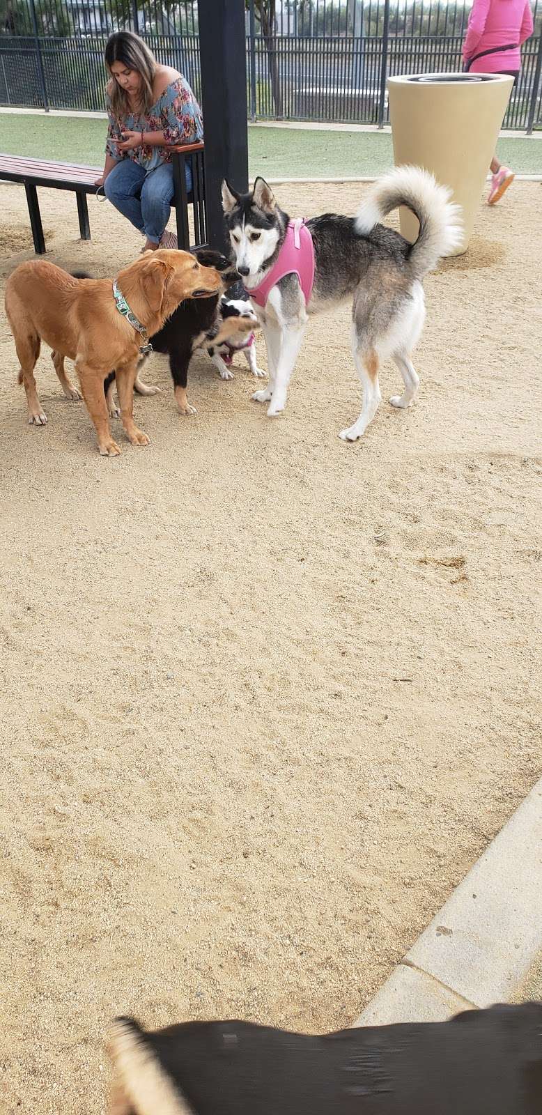 Town Center Dog Park | Chula Vista, CA 91915, USA | Phone: (619) 397-6197