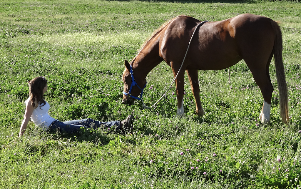 Iron Gait Ranch | 12601 W 82nd Ave, Arvada, CO 80005 | Phone: (303) 517-5055