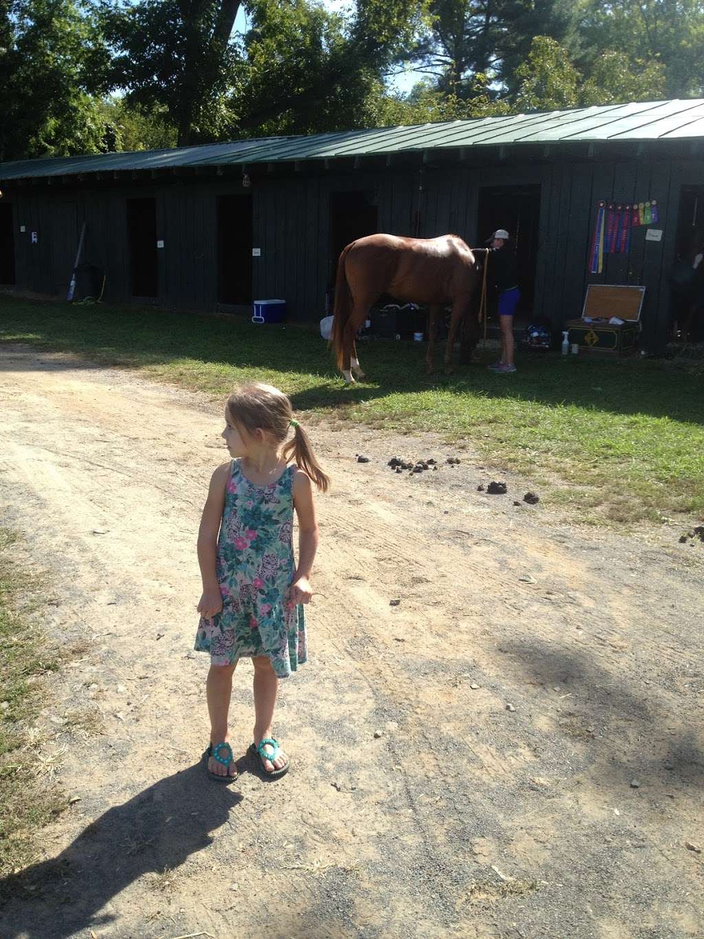 Warrenton Horse Show Grounds 60 E Shirley Ave, Warrenton, VA 20186