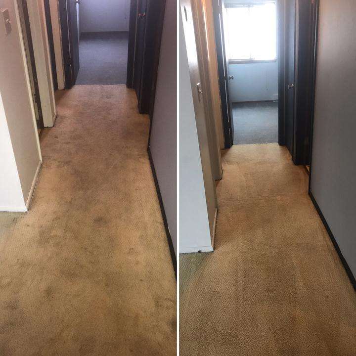 Collins Carpet Cleaning, L.L.C. | S 78 W31398 Sugden Rd., Mukwonago, WI 53149, USA | Phone: (262) 894-2209