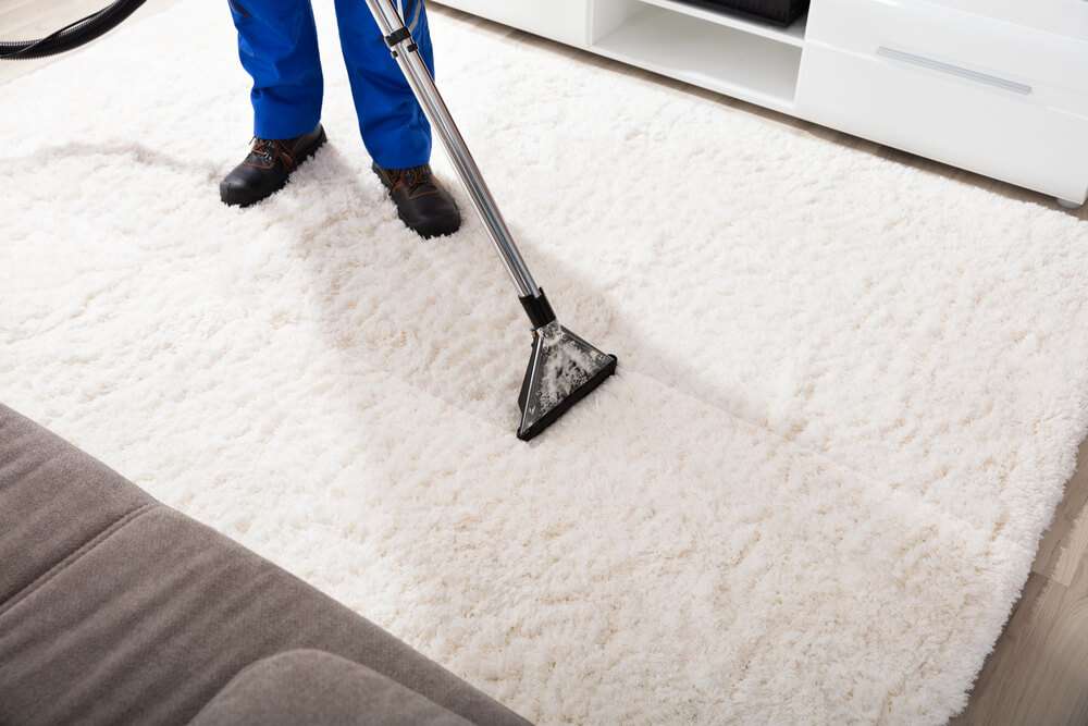 Team Clean Colorado - Residue-Free Carpet Steam Extraction | 3644 Downieville St, Loveland, CO 80538, USA | Phone: (970) 667-5050