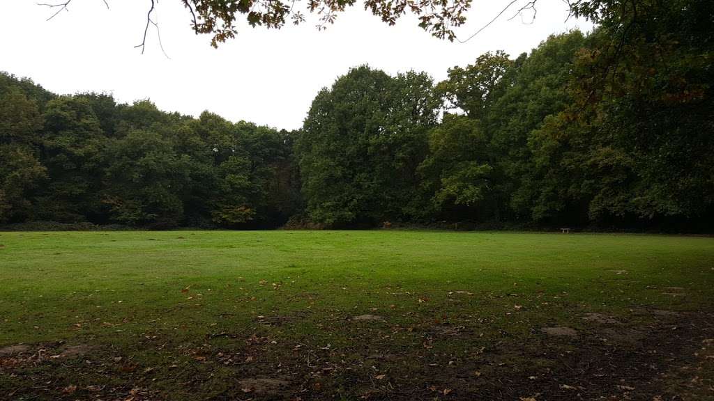 Claygate Common | Common Ln, Claygate, Esher KT10 0HY, UK