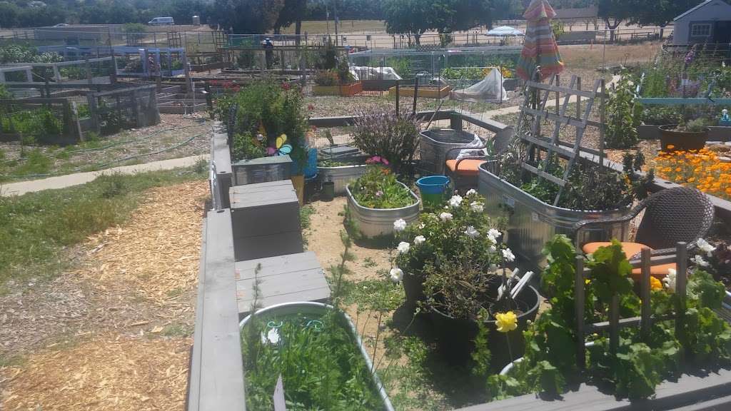 Las Flores Community Garden | 1300 E Avenida De Las Flores, Thousand Oaks, CA 91360