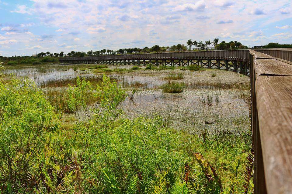 Wellington Environmental Preserve | 3491 160th Ave S, Wellington, FL 33470, USA | Phone: (561) 791-4005