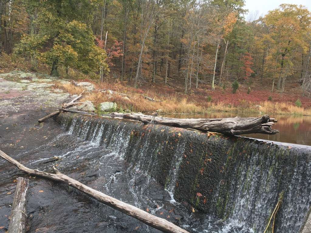 Blue Mountsin Lakes Parking Lot | Sandyston, NJ 07851