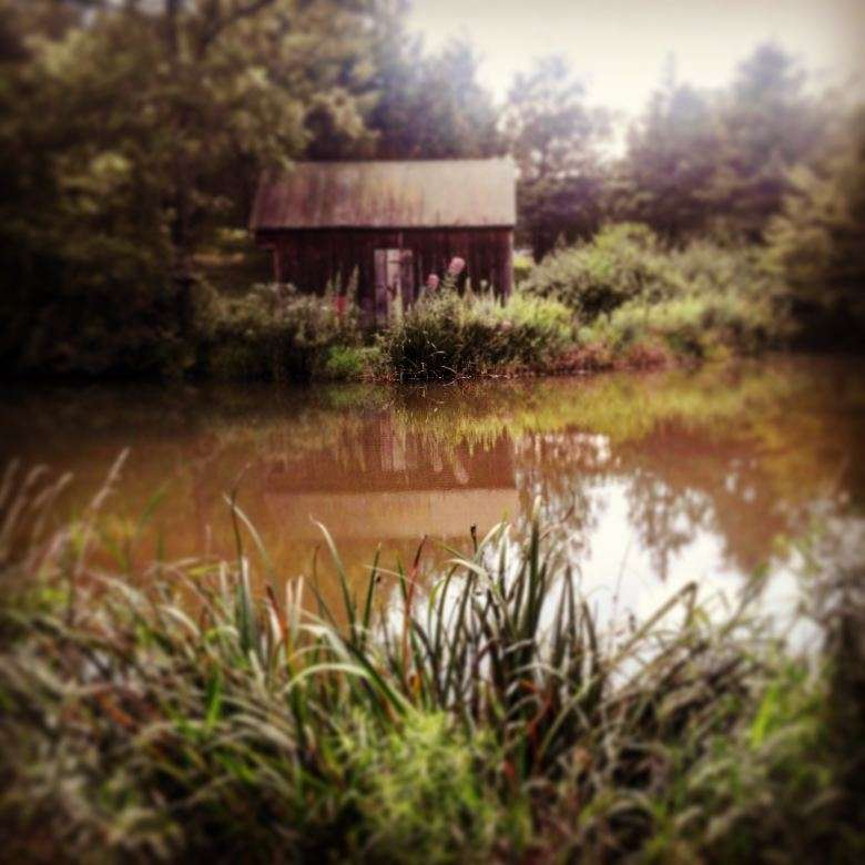 Old Dry Road Farm Inc | 202 Highland Rd, Wernersville, PA 19565, USA | Phone: (610) 693-6000