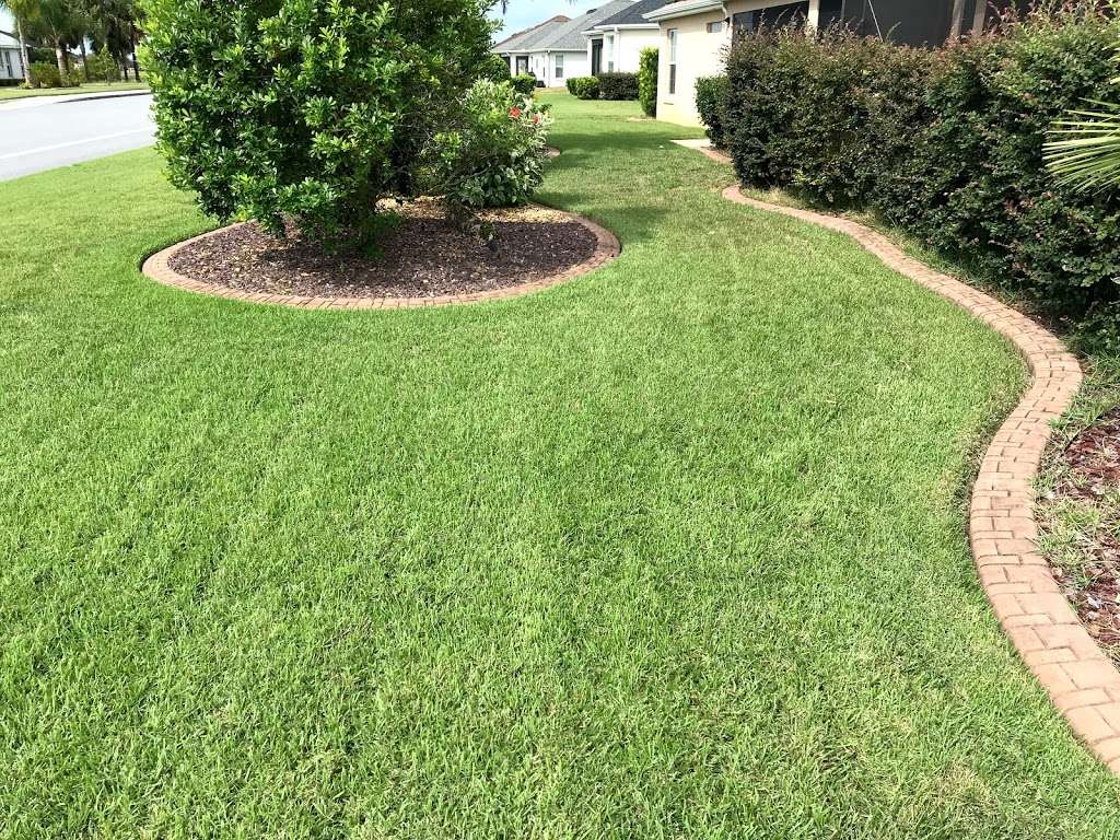 Falcon Lawn & Pest | 3100 NE 37th Pl, Wildwood, FL 34785, USA | Phone: (352) 689-0050