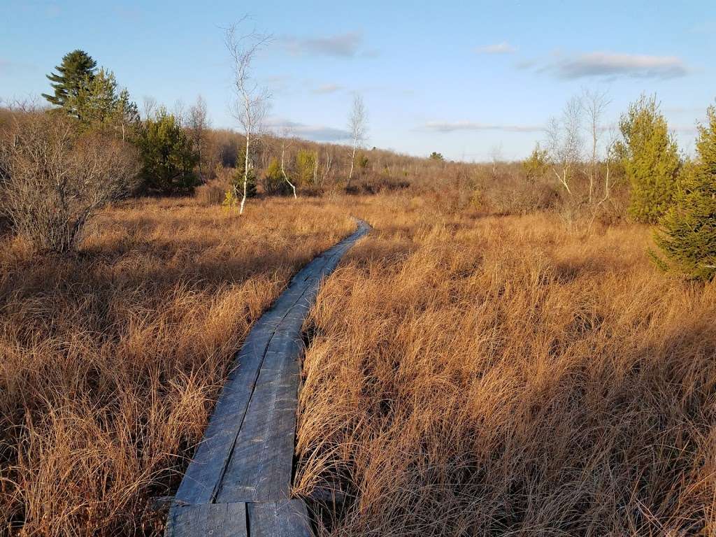 Thomas Darling Preserve Parking | Burger Rd, Blakeslee, PA 18610, USA | Phone: (570) 643-7922