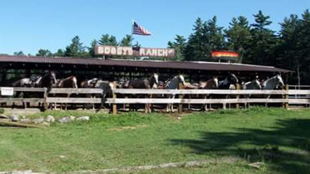Bobbys Ranch | 6 Durkee Ln, Westford, MA 01886, USA | Phone: (978) 263-7165