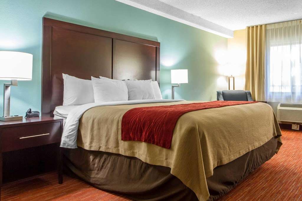 Comfort Inn & Suites | 5977 Mowry Ave, Newark, CA 94560, USA | Phone: (510) 795-7995
