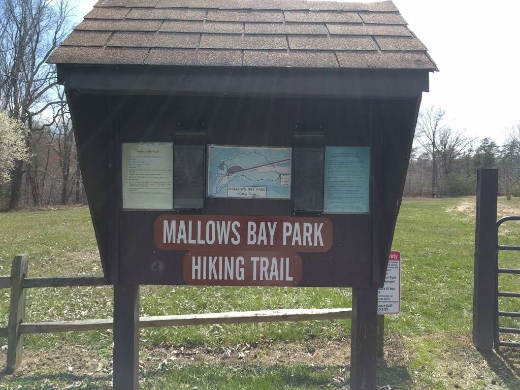 Mallows Bay Park | Nanjemoy, MD 20662