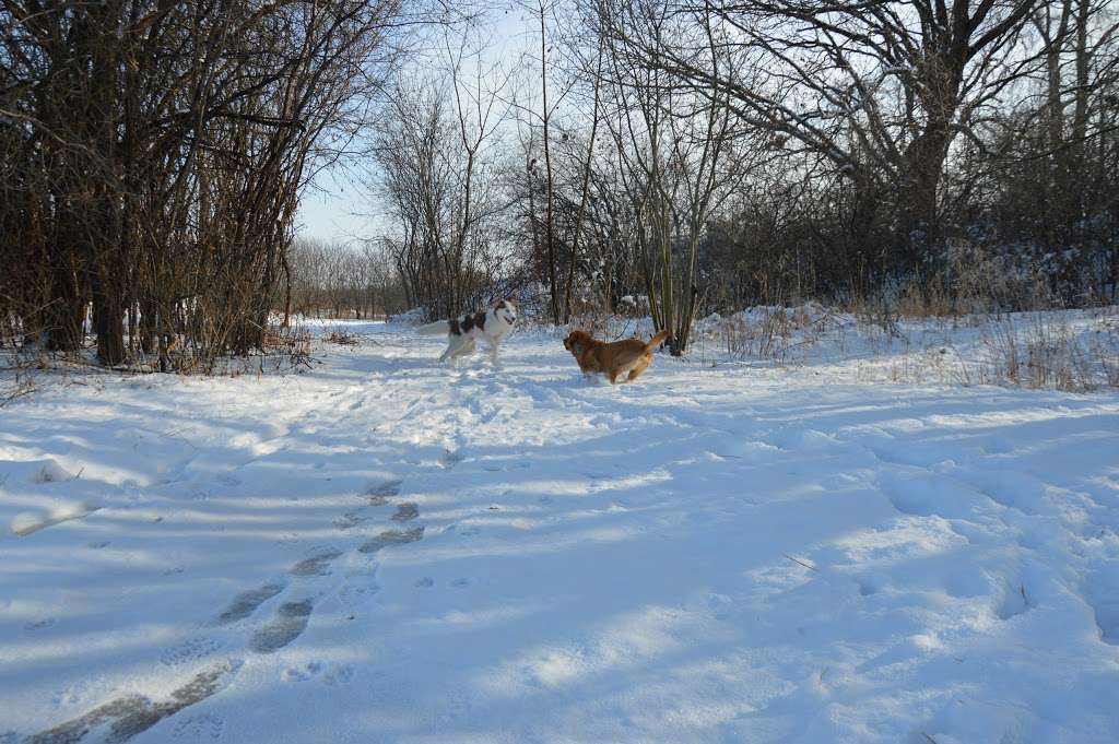 Four Seasons Nature Preserve | N1889 Co Trunk H, Lake Geneva, WI 53147