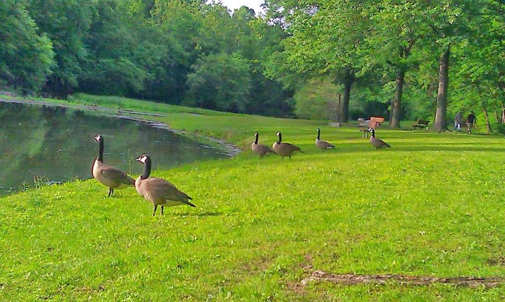 Piscataway Creek Stream Valley Park | Clinton, MD 20735